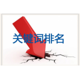 东平网站关键词排名下降原因有哪些